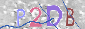 CAPTCHA 驗證圖片