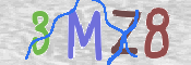 CAPTCHA 驗證圖片
