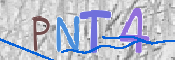 CAPTCHA 驗證圖片