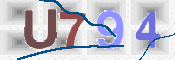 CAPTCHA 驗證圖片