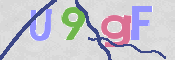 CAPTCHA 驗證圖片