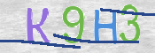 CAPTCHA 驗證圖片