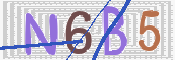 CAPTCHA 驗證圖片