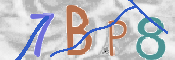 CAPTCHA 驗證圖片