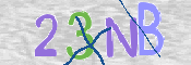 CAPTCHA 驗證圖片