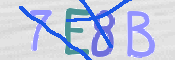 CAPTCHA 驗證圖片
