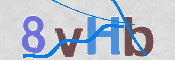 CAPTCHA 驗證圖片