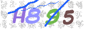 CAPTCHA 驗證圖片