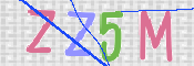 CAPTCHA 驗證圖片