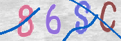 CAPTCHA 驗證圖片