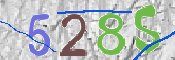 CAPTCHA 驗證圖片