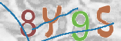 CAPTCHA 驗證圖片