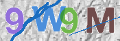 CAPTCHA 驗證圖片