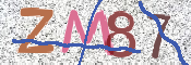 CAPTCHA 驗證圖片