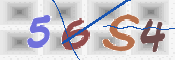 CAPTCHA 驗證圖片