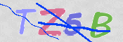 CAPTCHA 驗證圖片