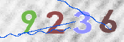 CAPTCHA 驗證圖片