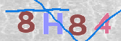CAPTCHA 驗證圖片