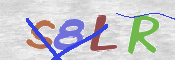CAPTCHA 驗證圖片