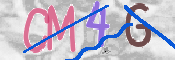 CAPTCHA 驗證圖片