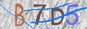 CAPTCHA 驗證圖片