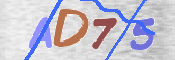 CAPTCHA 驗證圖片