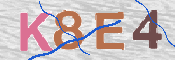 CAPTCHA 驗證圖片