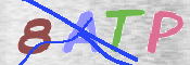 CAPTCHA 驗證圖片