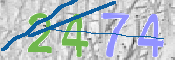 CAPTCHA 驗證圖片
