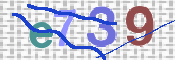 CAPTCHA 驗證圖片