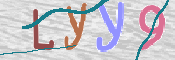 CAPTCHA 驗證圖片