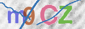 CAPTCHA 驗證圖片