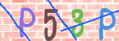 CAPTCHA 驗證圖片