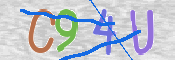 CAPTCHA 驗證圖片