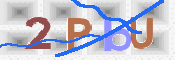 CAPTCHA 驗證圖片