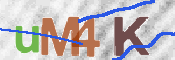 CAPTCHA 驗證圖片