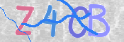CAPTCHA 驗證圖片