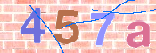 CAPTCHA 驗證圖片