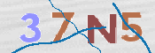 CAPTCHA 驗證圖片