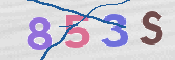 CAPTCHA 驗證圖片