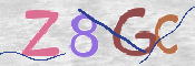CAPTCHA 驗證圖片