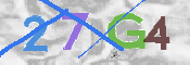 CAPTCHA 驗證圖片