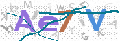 CAPTCHA 驗證圖片