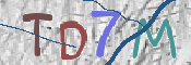 CAPTCHA 驗證圖片