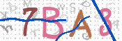 CAPTCHA 驗證圖片
