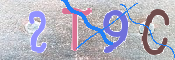 CAPTCHA 驗證圖片