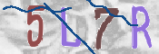 CAPTCHA 驗證圖片