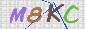 CAPTCHA 驗證圖片