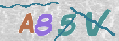 CAPTCHA 驗證圖片