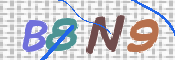 CAPTCHA 驗證圖片